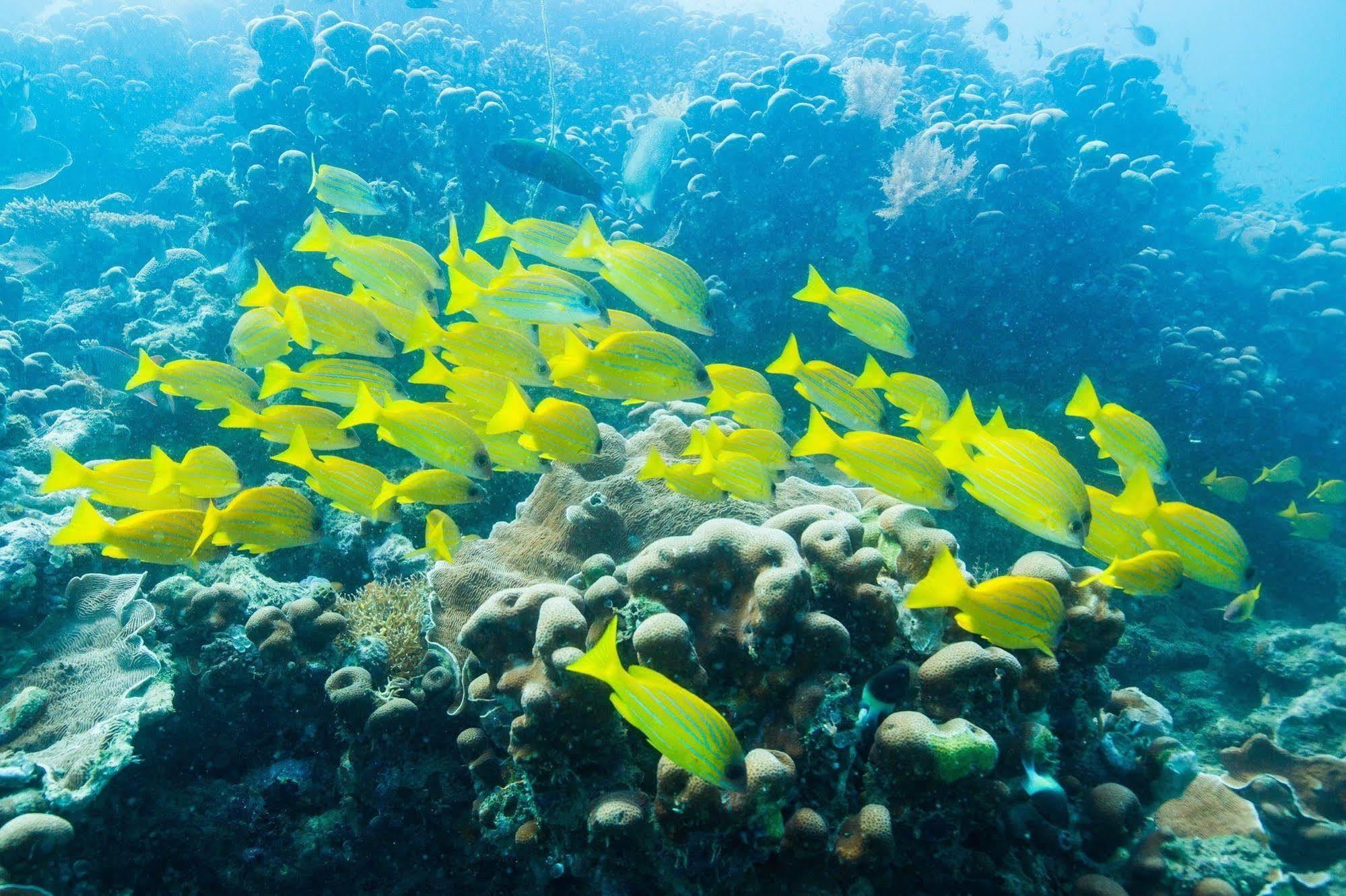Azura Quilalea Island Hotell Eksteriør bilde